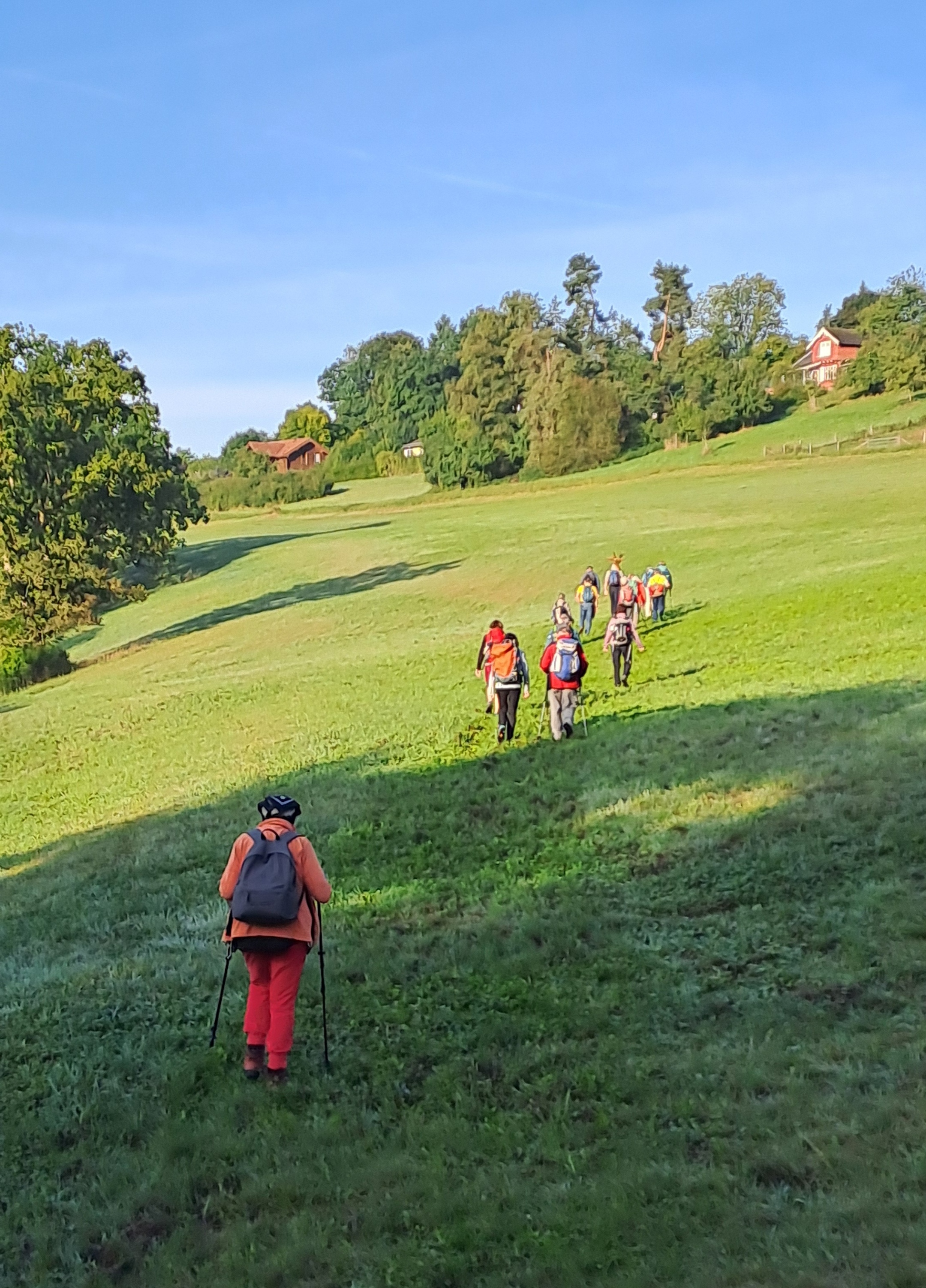 20250906_084323 (c) Joachim Opfer 20250906_084323