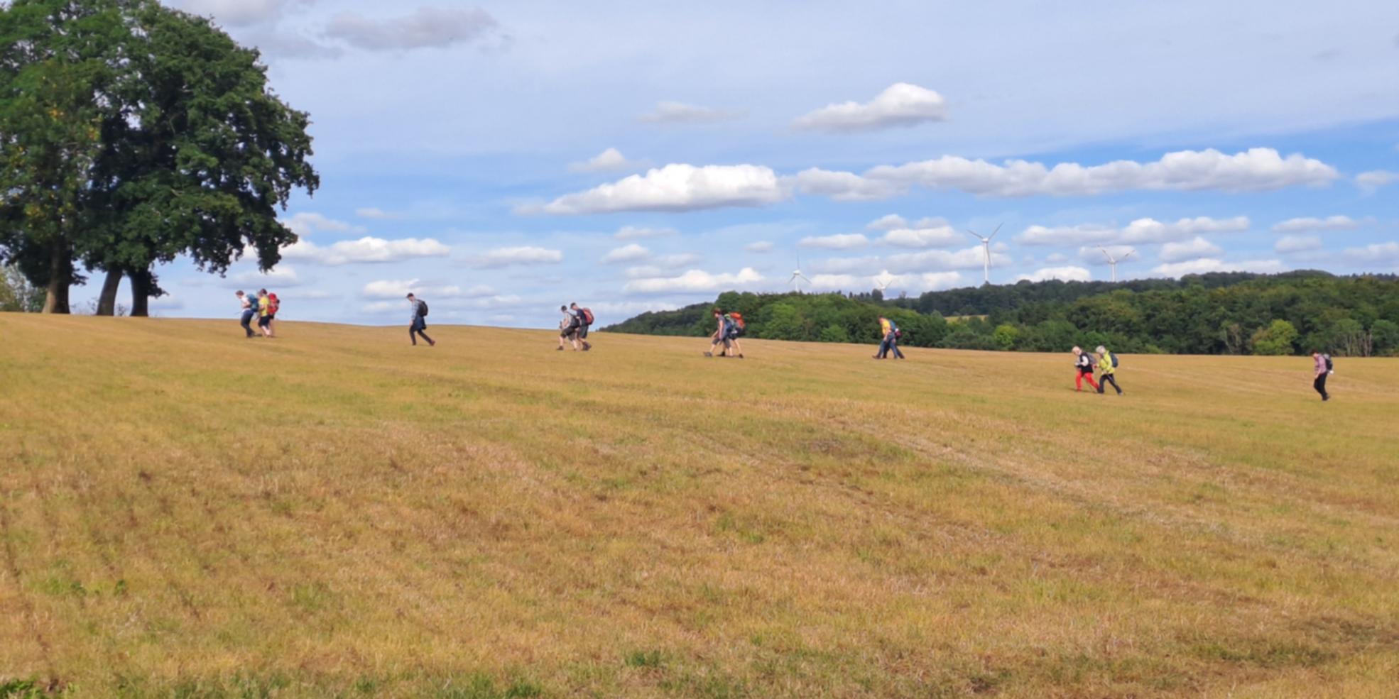 20250906_160111 (c) Joachim Opfer 20250906_160111