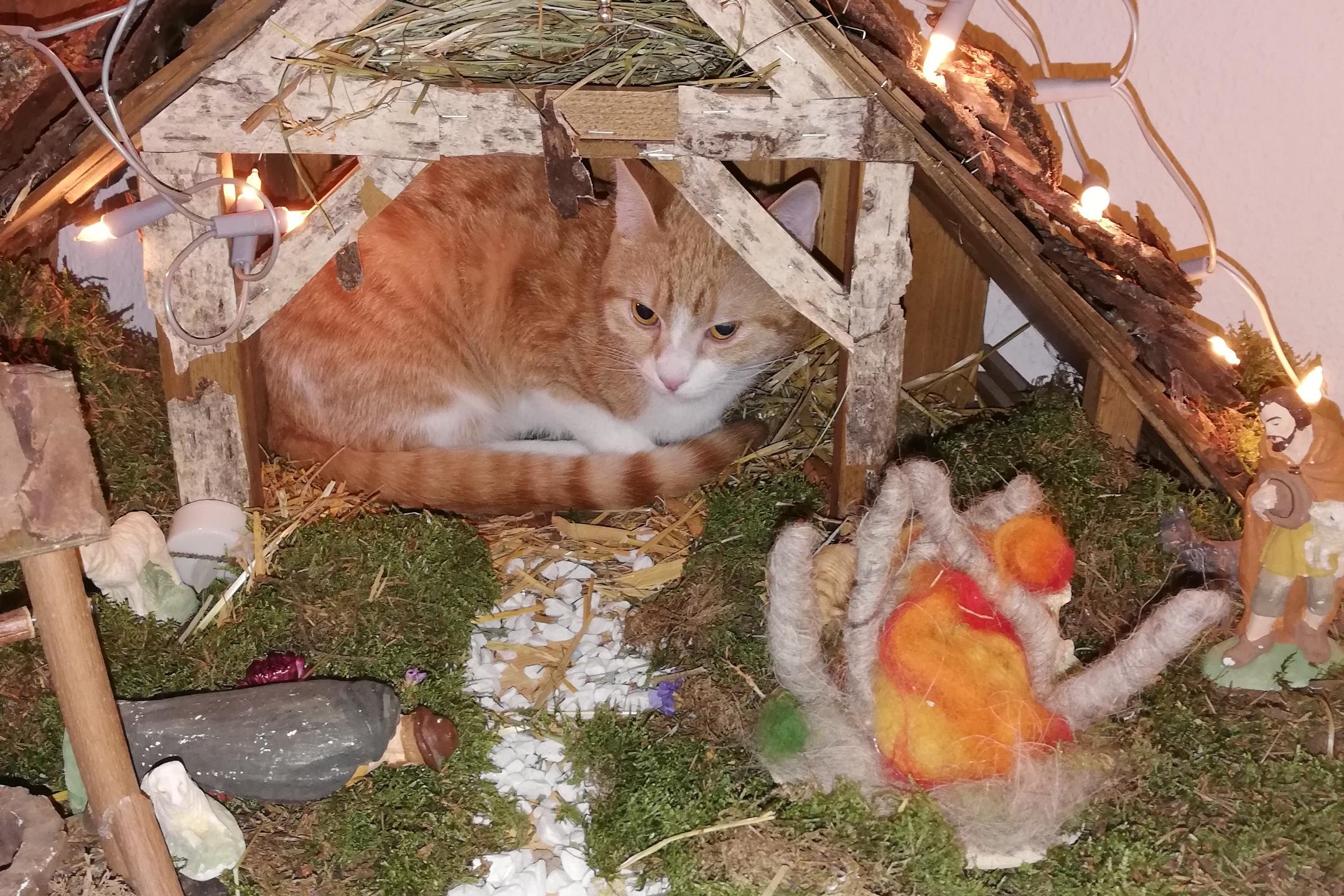 Luzie das 'Christkind'